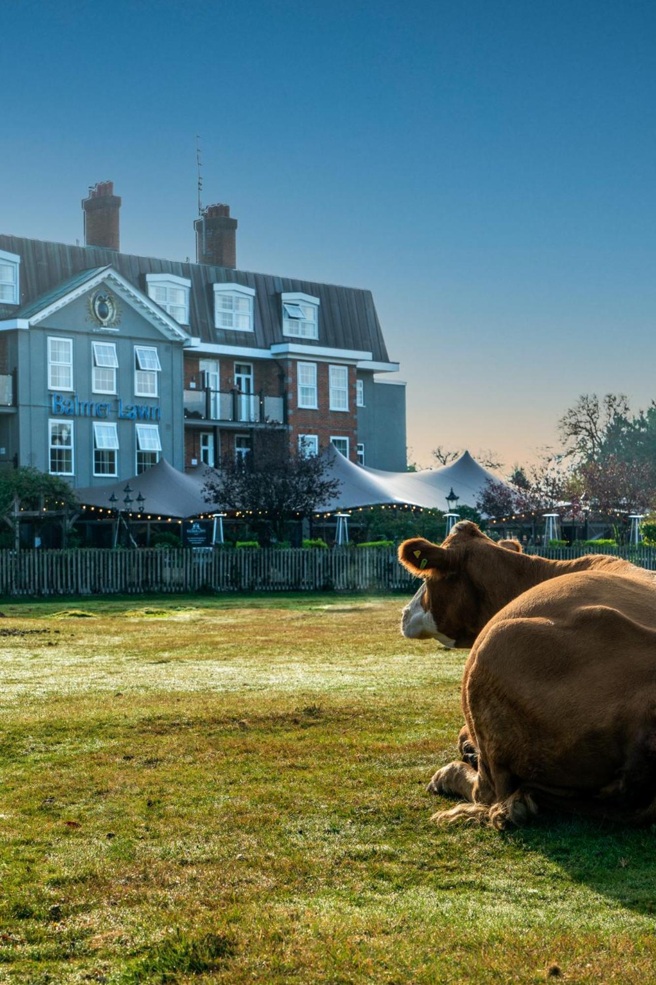 Balmer Lawn Brockenhurst Extérieur photo